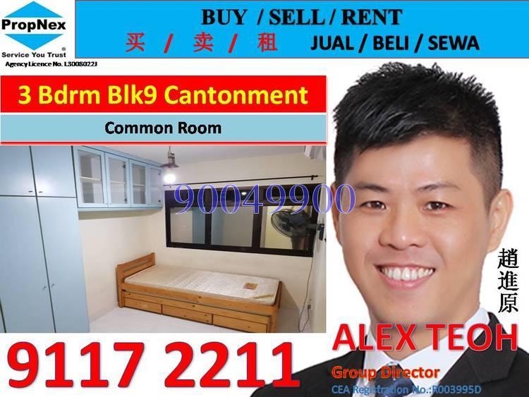 Blk 9 Cantonment Close (Bukit Merah), HDB 4 Rooms #163571102